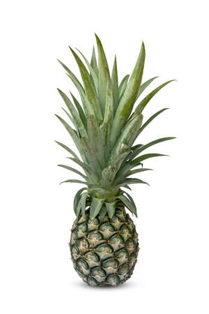 Pineapple, isolated on a white backgroundの写真素材
