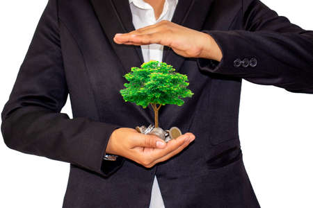 A small tree growing on a coin in the hands of a businesswoman wearing a black dress. The idea of ââbusiness growth and investment.の写真素材