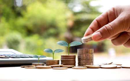 Hands are holding coins, including small tree planting on coins and natural light, financial accounting concepts, and saving money.の写真素材