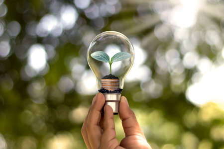 The hand of a young woman holding an energy-saving lamp, including a small tree growing in an energy-saving lamp and changing to renewable energy.の写真素材