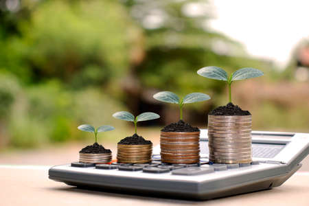 Trees are growing on piles of coins and calculators, money saving ideas and investments for agriculture.の写真素材