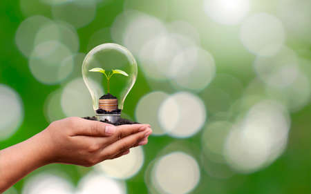 The hand of a young woman carrying an energy-saving light bulb with a small tree growing on money,...