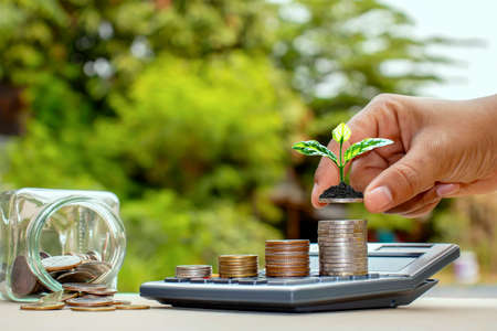 Hands are holding coins, including small tree planting on coins and natural light, financial accounting concepts, and saving money.の写真素材