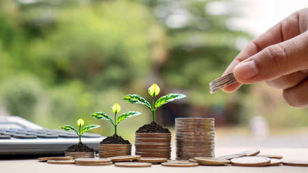 Hands are holding coins, including small tree planting on coins and natural light, financial accounting concepts, and saving money.の写真素材