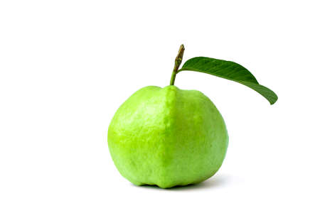 Guava, fruits and guava leaves, fruits with high vitamin C help strengthen the immune system, separated on a white background.の写真素材