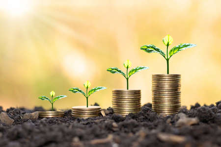 Growing plants on coins stacked on green blurred