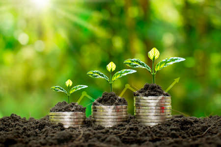 Plant small plants on coins stacked on the concept of saving money and growing money.の写真素材