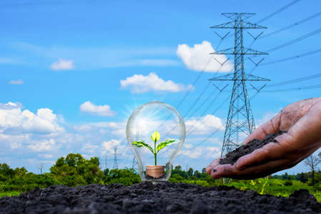 The tree grows on a pile of coins in an energy-saving lamp and a backdrop of high-voltage...