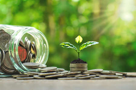 Planting trees on coins beside bottles of money on a natural background, business and financial concepts.の写真素材