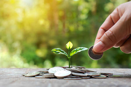 Planting small trees on a pile of coins on a blurred natural green background, money growth concept.