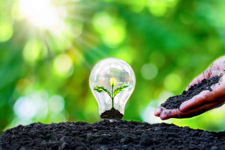 Trees grow on piles of coins in bulbs and hands that give soil and money. Energy saving and environmental protection concepts on Earth Day.の写真素材