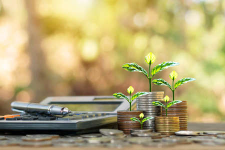 Plant trees on coins and calculators, financial accounting concepts and save money.の写真素材