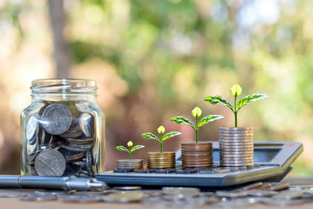 Plant trees on coins and calculators, financial accounting concepts and save money.の写真素材