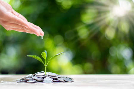 Planting small trees on a pile of coins on a blurred natural green background, money growth concept.の写真素材