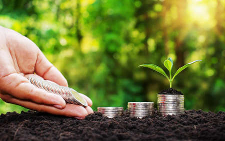 The hands of investors are delivering coins to the trees planted on coins, financial concepts and financial growth.の写真素材