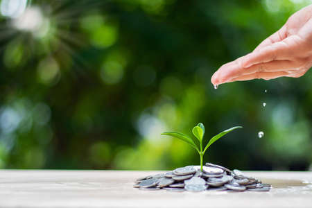 Hands are watering plants that grow on coins, financial management concepts.の写真素材