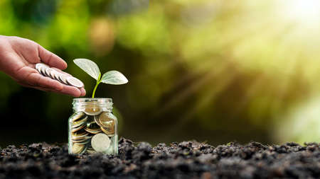 Planting a Tree in a Bottle and Raising Money in a Bottle, Financial and Investment Ideas for Business Growth.の写真素材