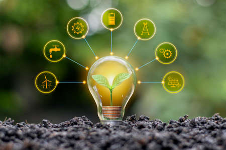 The coin tree growing in energy-saving light bulbs includes energy-saving icons, energy-saving ideas...