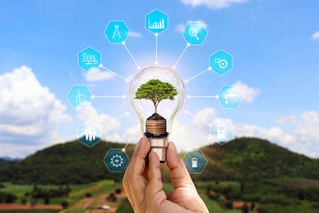 The tree growing in the human hand energy saving light bulb and energy saving icon concept of energy saving and eco friendly energy consumption.の写真素材