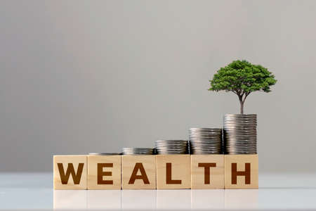Wooden cube with the word Wealth with Tree and Coin Piles growing growing up investment ideas life insurance and healthcareの写真素材