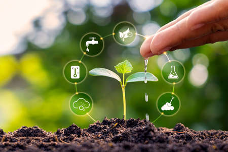 The hand is holding the white screen, the mobile phone is isolated on a white backgroundの写真素材