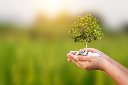 Tree growing on coin in human hand, plant growth concept. and investments that are environmentally friendlyの写真素材
