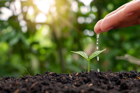 Farmers are watering small plants by hand with the concept of World Environment Day.の写真素材