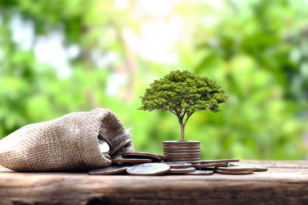 tree on the pile of coins and money bag finance concept and growth business financeの写真素材