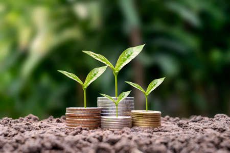 Coins and crops on coins with blur green background finance, investment, and money growth concept.の写真素材