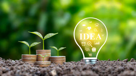 Trees grow from coins and energy-saving light bulbs labeled IDEA, growing finance ideas, and how to find business ideas that work for you.の写真素材