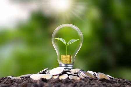 The tree grows with gold coins in energy-saving lamps. Energy saving and renewable energy conceptsの写真素材
