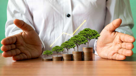 Tree growing on piles of money and graph showing business growth ideas to maximize profits from business investments.の写真素材