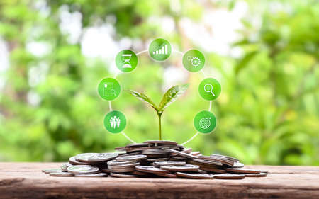 Sapling growing on pile of coins and business finance growth icon money saving conceptの写真素材