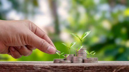The development of the financial sector and economic growth. Trees growing on piles of money and hands giving coins to trees.の写真素材