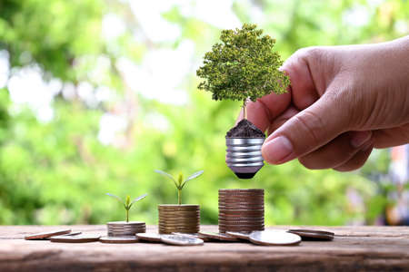 Plants growing in energy-saving lamps in people's hands and plants on piles of coins. Renewable Energy and Environmental Finance Conceptsの写真素材