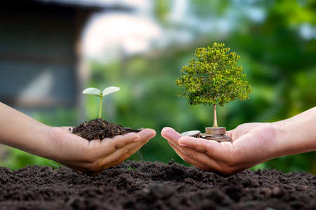 Farmer's hand holding a sapling and a businessman's hand holding a tree growing on a pile of money.の写真素材