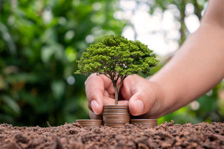 Plant trees with coins or money based on money planting and environmental investment ideas.の写真素材