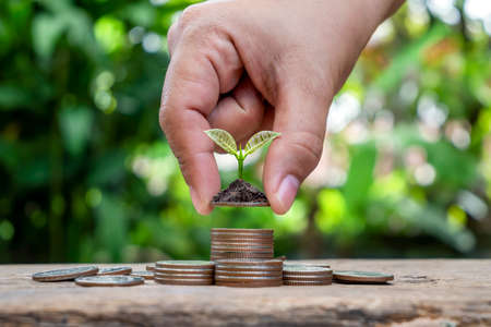 Plant trees on the pile of coins and blurred green nature background, economic growth, and environmental investment concept.の写真素材