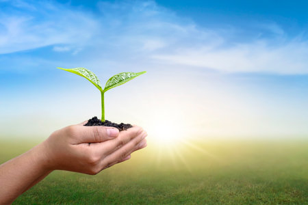 Hand planting trees and blurred green nature background for sustainability.Environmental day concept and environmental conservation.の写真素材