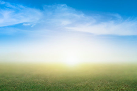 Blurred nature background image of blur green grass and blue sky background design concept, background image for website.の写真素材