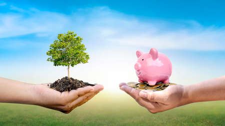 Trees and money in human hands and blurry green nature background. Eco-friendly investment concept.の写真素材