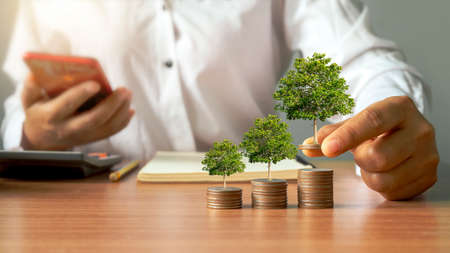 Businessmen holding coins and trees growing on piles of money. New business start-up ideas and economic-financial growth.の写真素材