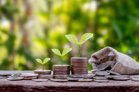 Planting and developing trees on piles of coins and green background concept of financial and economic growth.の写真素材