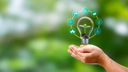 Tree growing on a light bulb in people's hand with renewable energy source icon and sustainable development environmental technology ecology conceptの写真素材