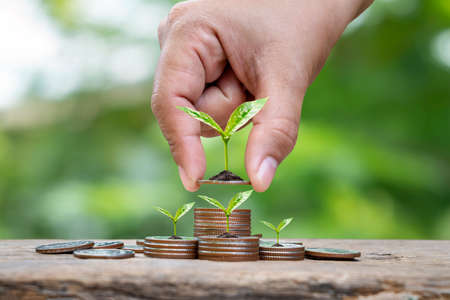 Tree growing on a pile of coins, business ideas, investments, and financial future planning for...