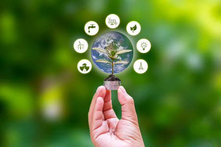 Tree growing on the coin in human hand and energy icon, plant growth and energy investment concept.