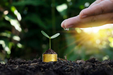 The businessman's hand is watering the plants growing on the pile of coins stacked on the ground...