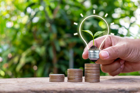 Plants planted in energy-saving lamps in the hands of people and piles of coins. Eco-friendly economic growth and energy conceptの写真素材