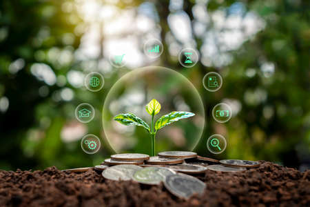 sapling or plant growing on a pile of coins and business icons economic growth conceptの写真素材