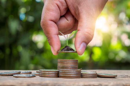 Tree on the coin in a human hand and blurry green nature background Concept of financial growth, economic recovery, and investment.の写真素材